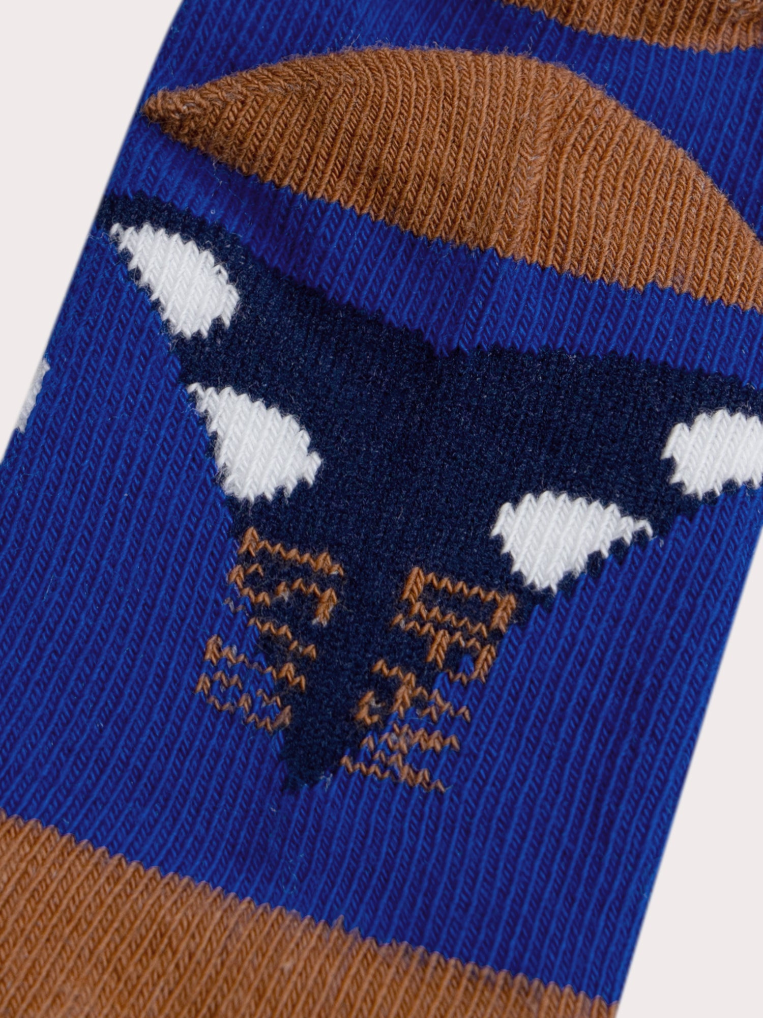 Dinosaur Pattern Socks for Baby Boy