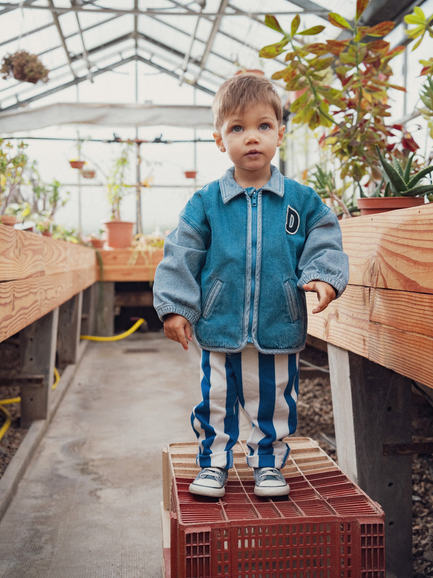 Denim bomber jacket with "D" patch for baby boy