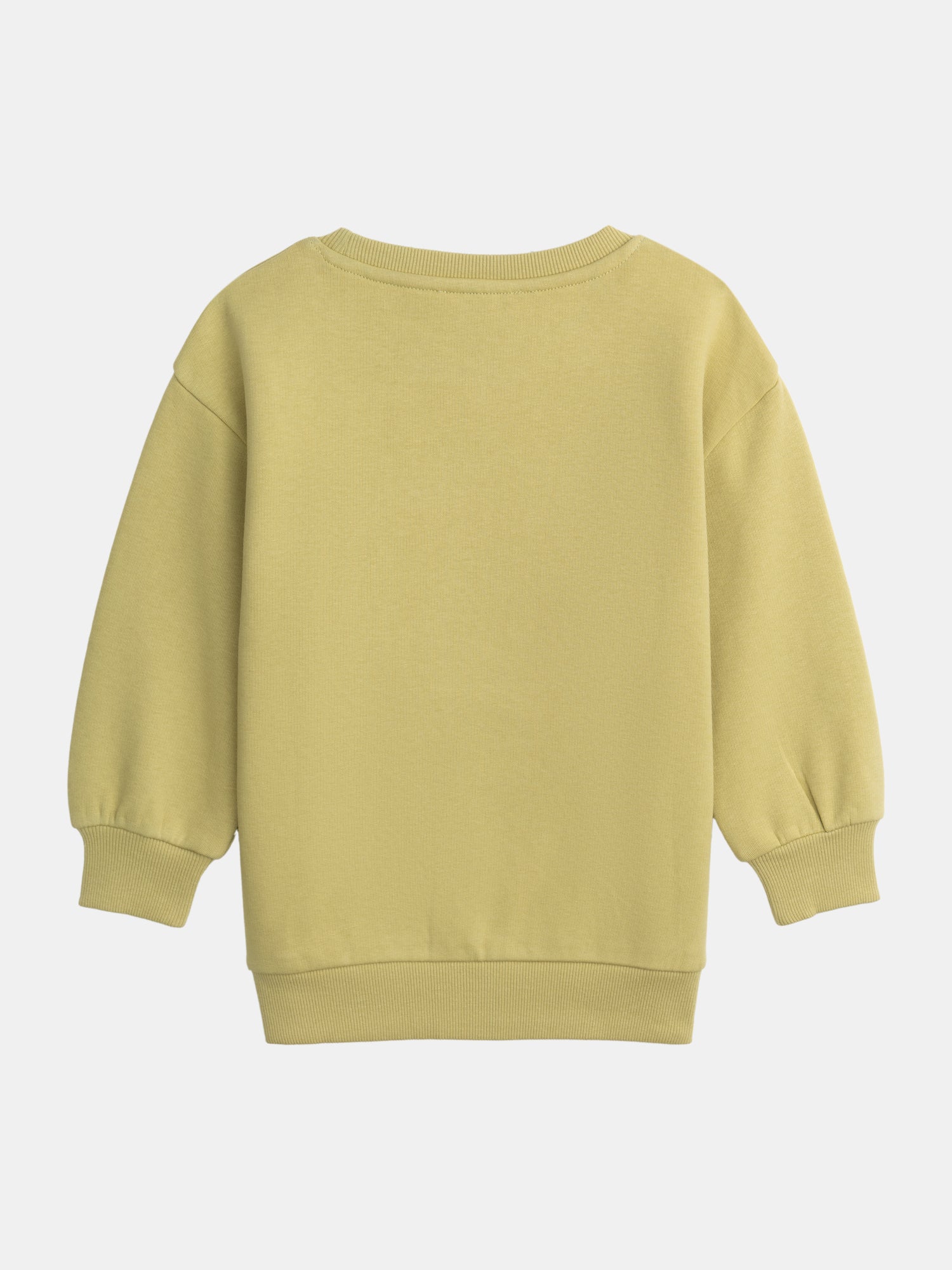 Green Sweatshirt with Tiger Animation for Boys