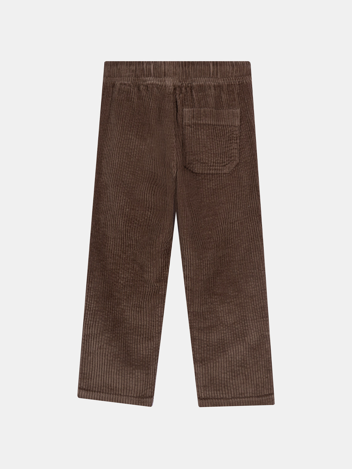 Light Brown Corduroy Pants for Boys