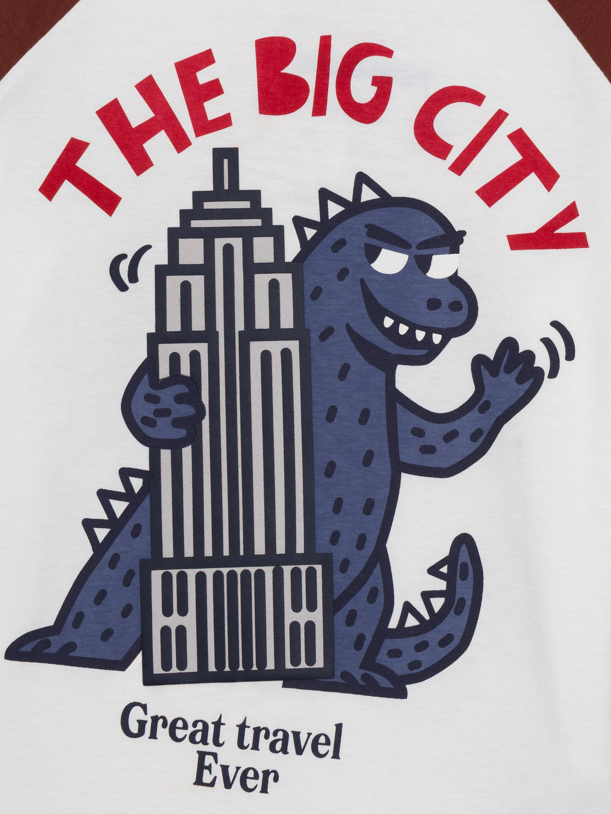 Long Sleeve T-Shirt with Dinosaur Animation for Boys