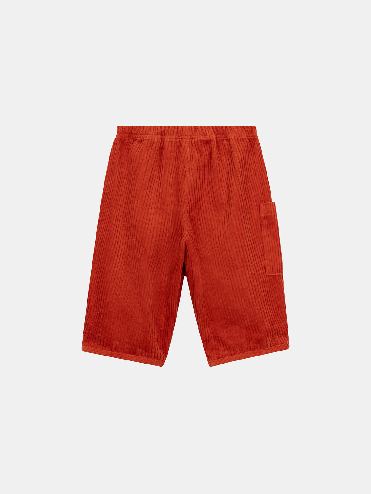Rust Corduroy Pants "Baby Dino" for Baby Boy