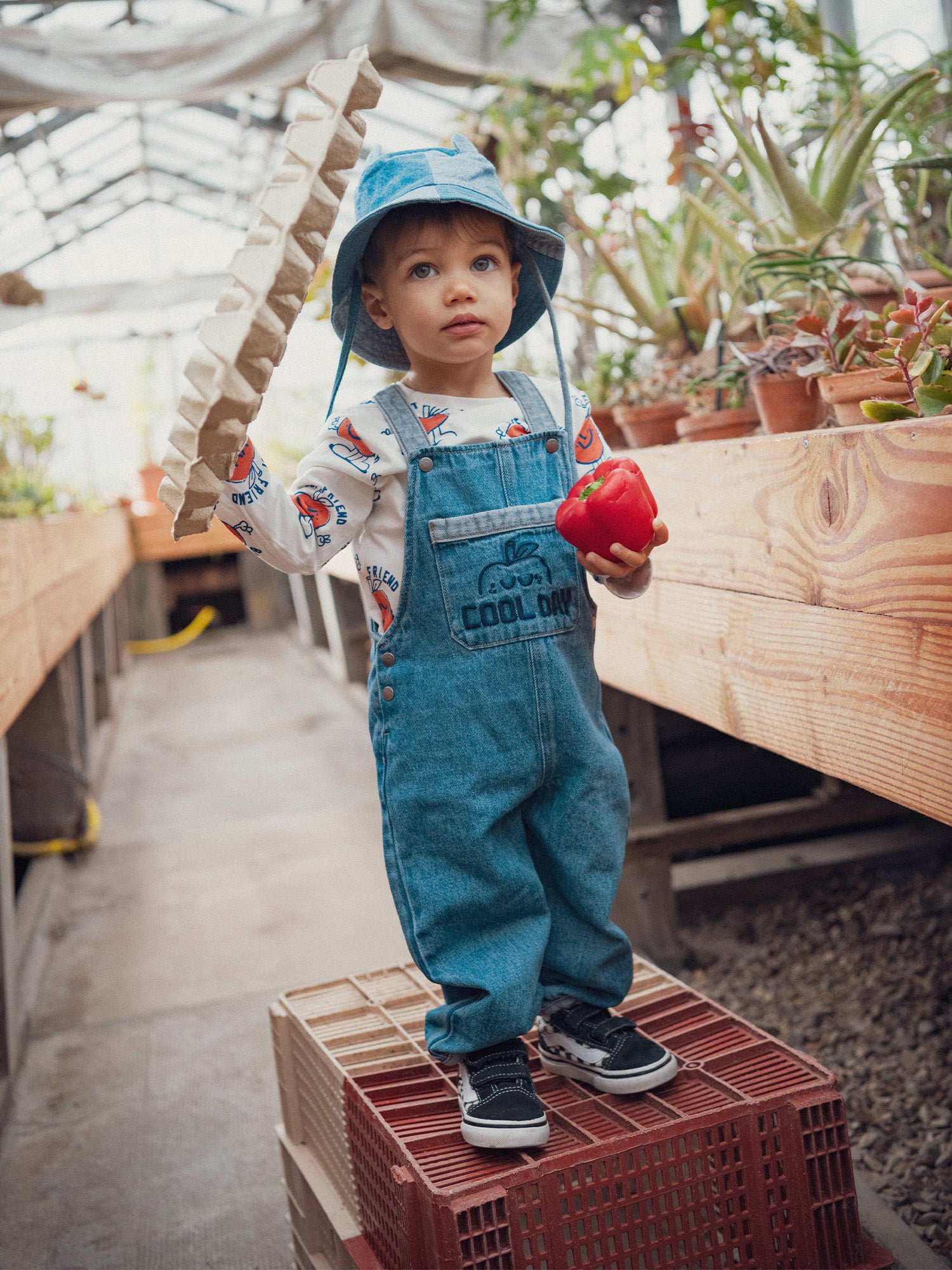 Blue Bicolour Dungarees with Apple Motif for Baby Boy