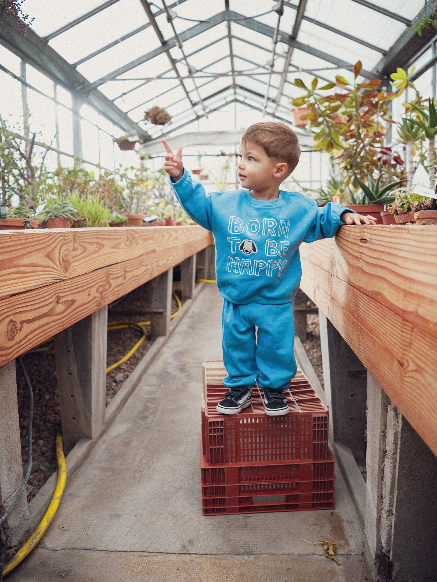 Set with the motif 'BORN TO BE HAPPY' for baby boy