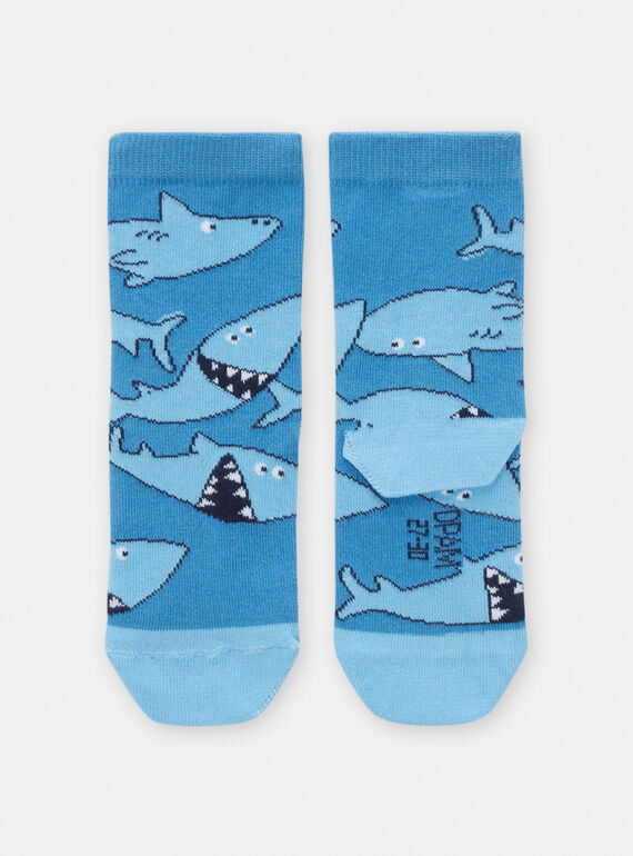 Sky blue SOCKS TYOJOCHO8 / 24SI0283SOQ216