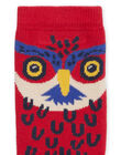 Stripes and owl socks PYOGOCHODER / 22WI02O1SOQF521