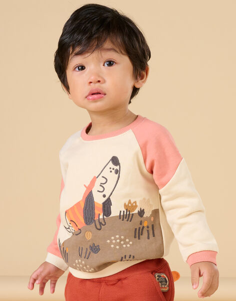Colorblock Fleece Sweatshirt RUSUNSWE / 23SG10K1SWE005