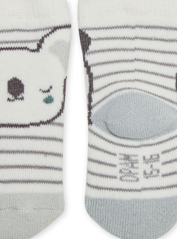 Socks with stripes and koalas POU1CHO3 / 22WF4281SOQ001