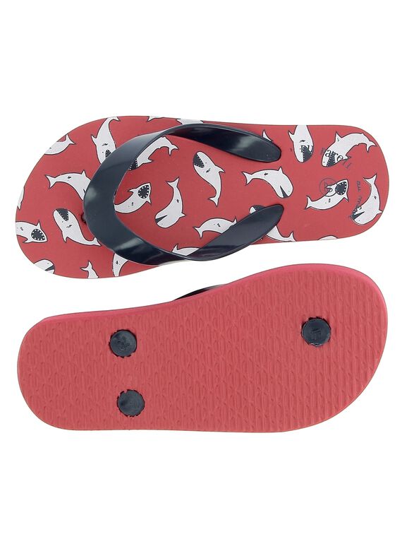 Boys' flip flops CGTONGRED / 18SK36Z3D01050