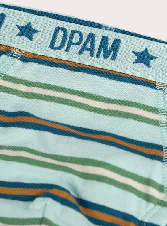 Set of 3 anamalier print briefs for boys  VEGOSLIJUN / 24WH1282D5L204