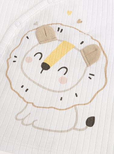 Ivory SET WOU2ENS2 / 25SF0581ENS005