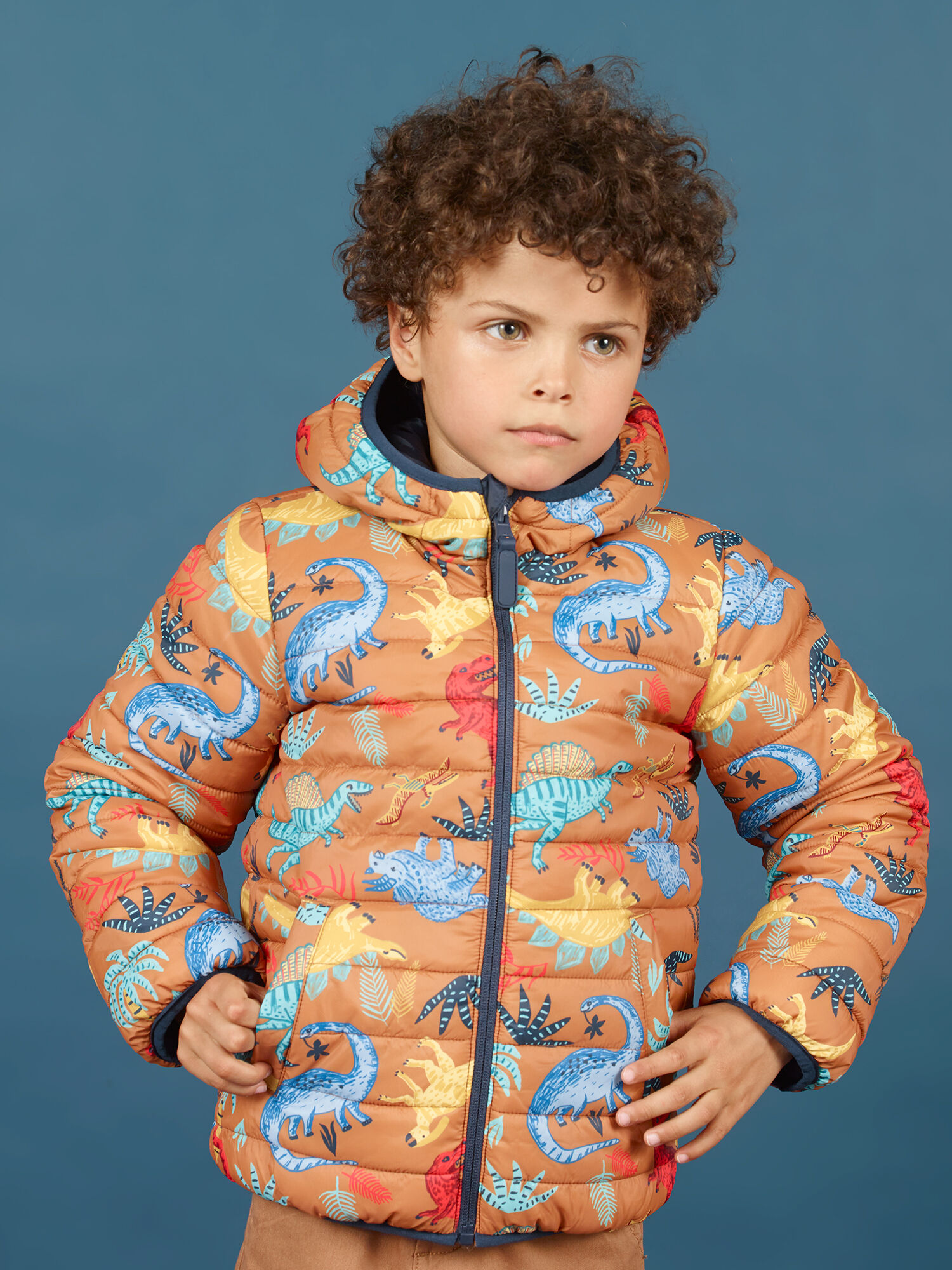 Boy s reversible quilted hooded jacket
