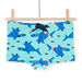 Turquoise shark print swim shorts