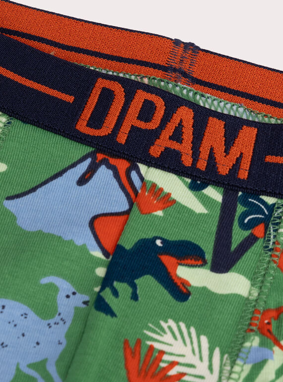 Set of 3 dinosaur print underpants for boys VEGOBOXDIN / 24WH1284BOX602