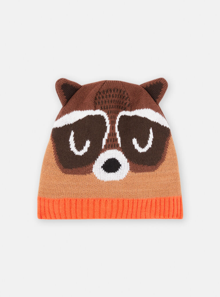 Boy's sepia raccoon beanie SYOGROBON7 / 23WI02O2BONI814