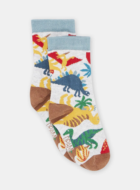 Boy's grey dinosaur socks SYOJOCHO2 / 23WI02B4SOQJ922
