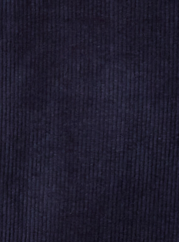 Navy PANTS KAREPANT / 20W901G1PAN070