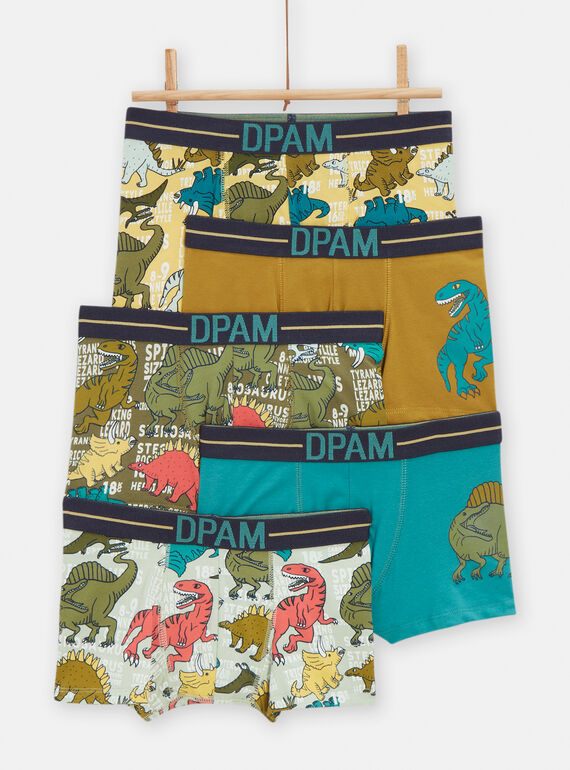 Set of 5 multicolored dinosaur print boxer shorts for boys TEGOBOXSEM2 / 24SH1263BOXC239