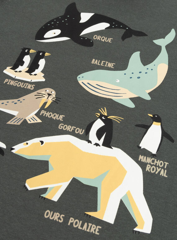 Green TURTLE NECK VOPERSOUP / 24W902R1SPLG617