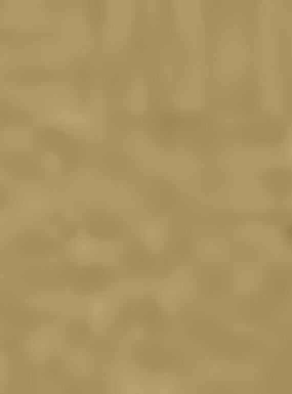 Boys' leather boots DGBOOTBAS / 18WK36T3D0D804