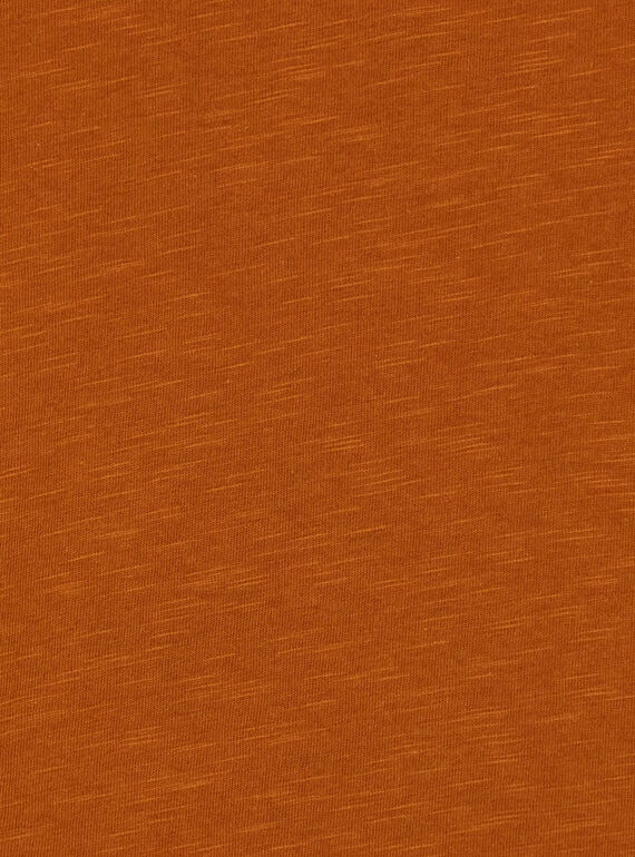 Light brown T-SHIRT KOECOTEE2 / 20W902H2TML804