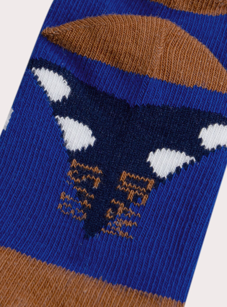 Blue SOCKS XYULUDCHO / 25WI10D1SOQC231