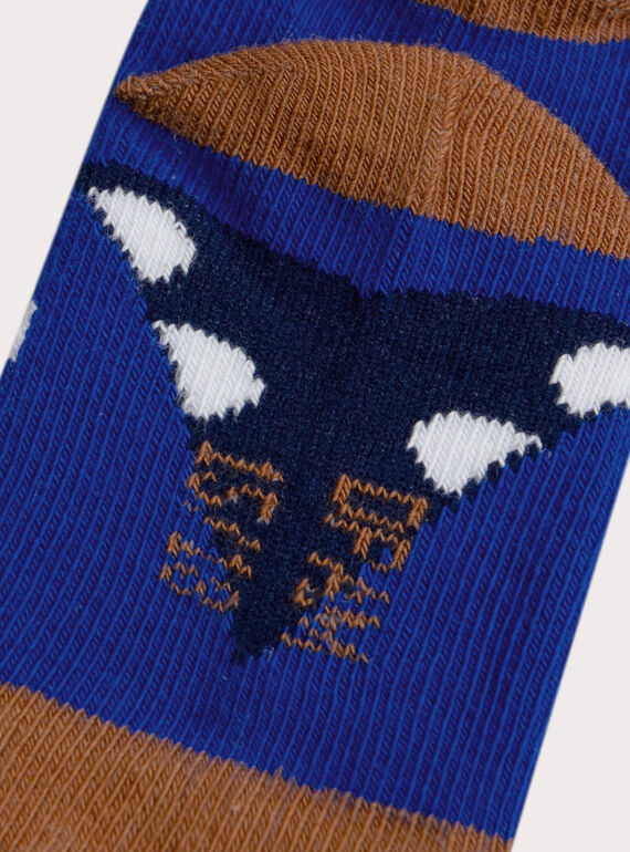 Blue SOCKS XYULUDCHO / 25WI10D1SOQC231