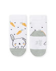 White socks birth boy NOU2CHO1 / 22SF4151SOQ000