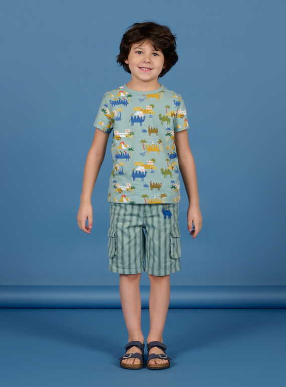 Child boy's Water Green Striped Bermuda Shorts NOSANBER3 / 22S902S3BER614