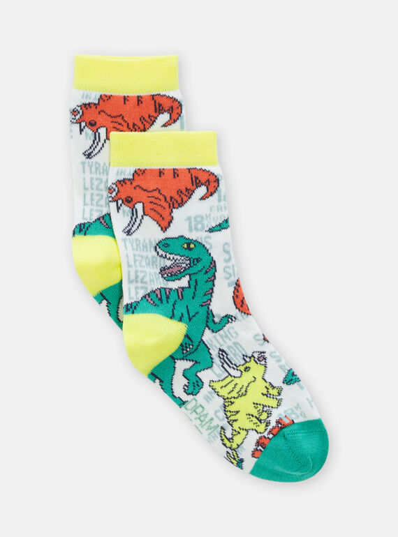 Boy's multicolored dinosaur-print socks TYOJOCHO6 / 24SI0281SOQ001
