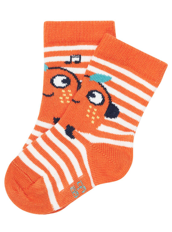 Orange Socks JYUVICHO1 / 20SI10D3SOQE400