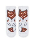 Socks with fox pattern birth boy MOU1CHO2 / 21WF4141SOQ001