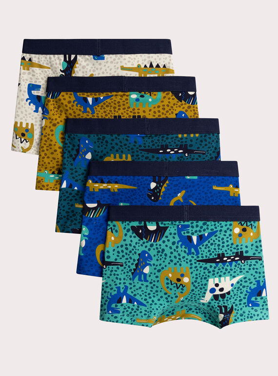 Set of 5 dinosaur print underpants for boys  VEGOBOXSEM1 / 24WH1283BOX209