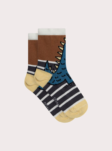 Brown SOCKS XYOJOCHO9 / 25WI02D2SOQI804