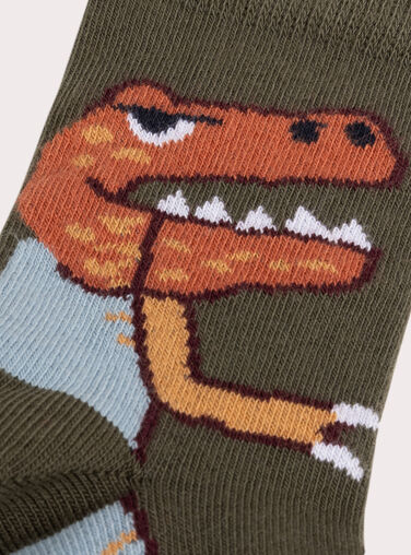 Dark kaki SOCKS VYOJOCHO6 / 24WI02K1SOQ609