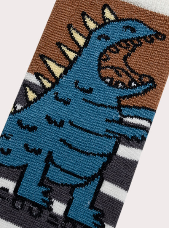 Brown SOCKS XYOJOCHO9 / 25WI02D2SOQI804