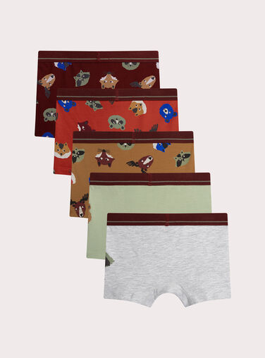 Dark burgundy BOXER XEGOBOXSEM2 / 25WH1248BOX503