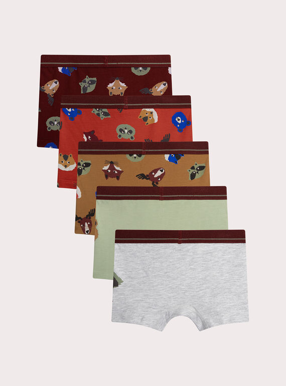 Dark burgundy BOXER XEGOBOXSEM2 / 25WH1248BOX503