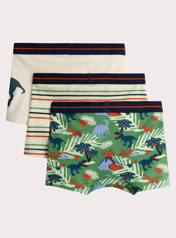 Set of 3 dinosaur print underpants for boys VEGOBOXDIN / 24WH1284BOX602