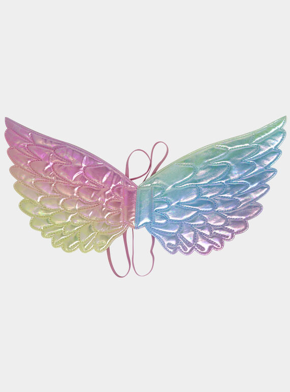 Iridescent fairy wings DPAFA0009 / 22R8GF51DGM099