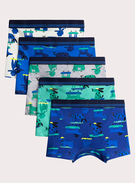 Set of 5 dog print underpants for boys  VEGOBOXSEM2 / 24WH1281BOXC214