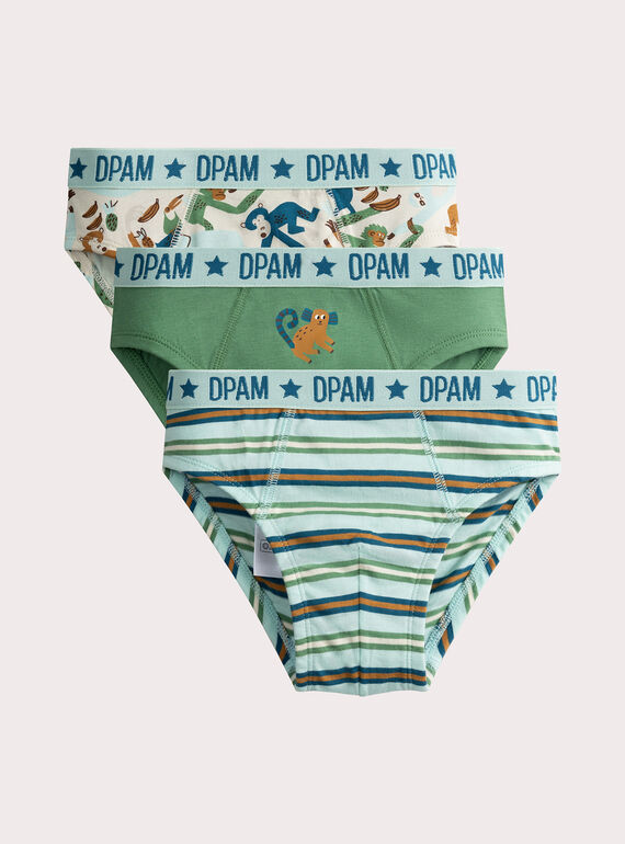 Set of 3 anamalier print briefs for boys  VEGOSLIJUN / 24WH1282D5L204