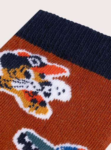 Dark orange SOCKS VYOJOCHO3 / 24WI02G5SOQ408