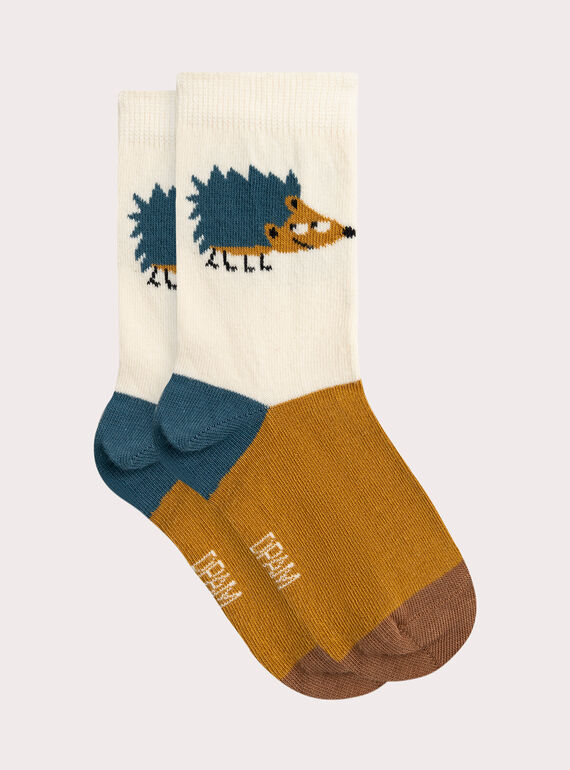 Colorful hedgehog pattern socks for boys  VYOJOCHOC2 / 24WI02H2SOQA016