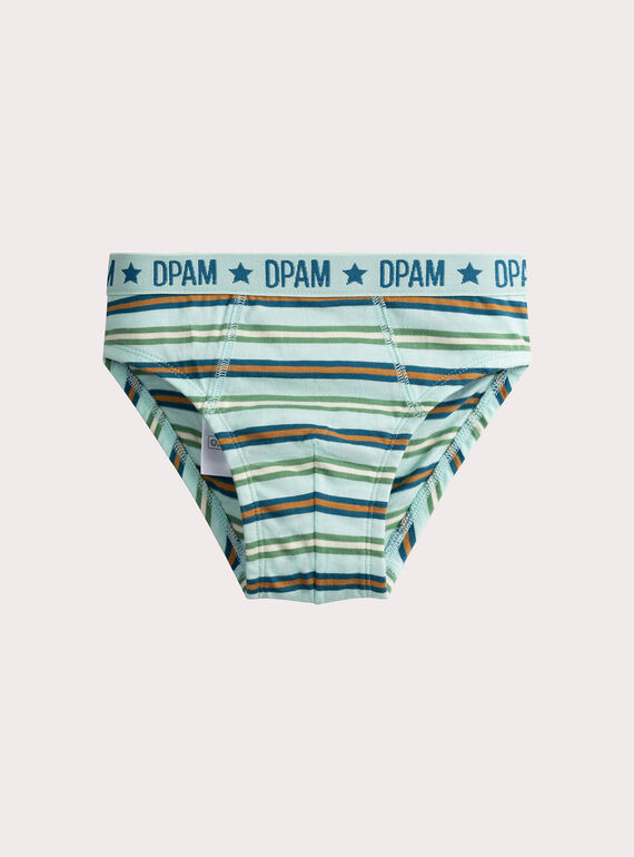 Set of 3 anamalier print briefs for boys  VEGOSLIJUN / 24WH1282D5L204