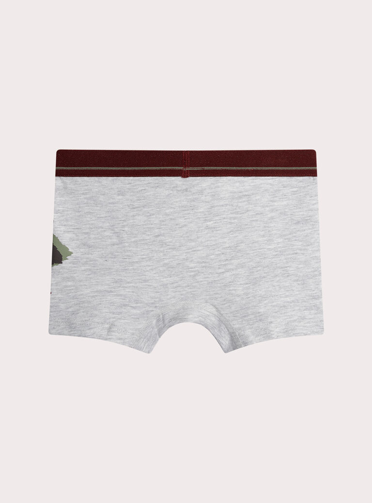 Dark burgundy BOXER XEGOBOXSEM2 / 25WH1248BOX503