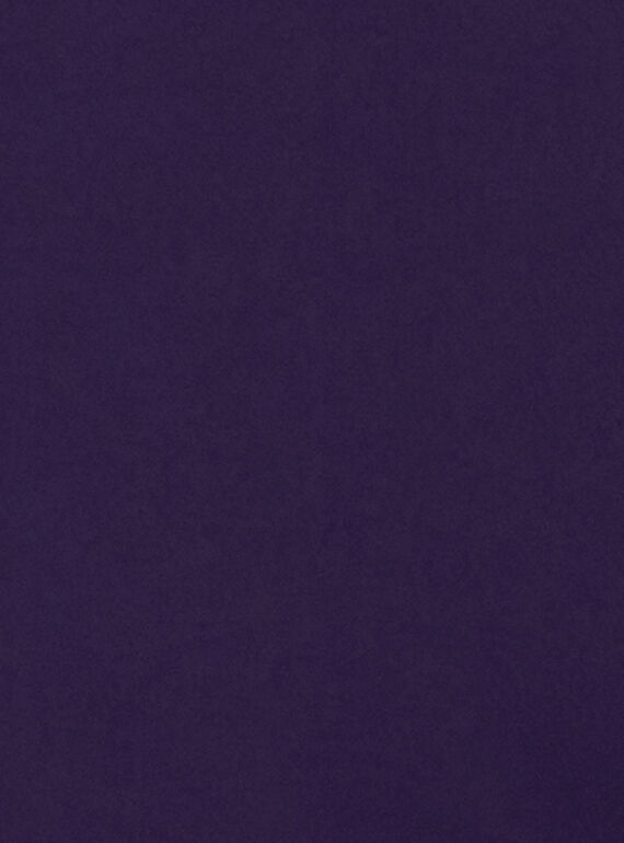 Purple PARKA KAFUNPARKA / 20W901K4PARH703