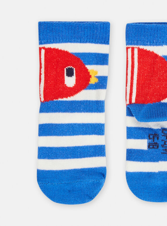 Navy SOCKS TYUCLUCHO / 24SI10C3SOQC212