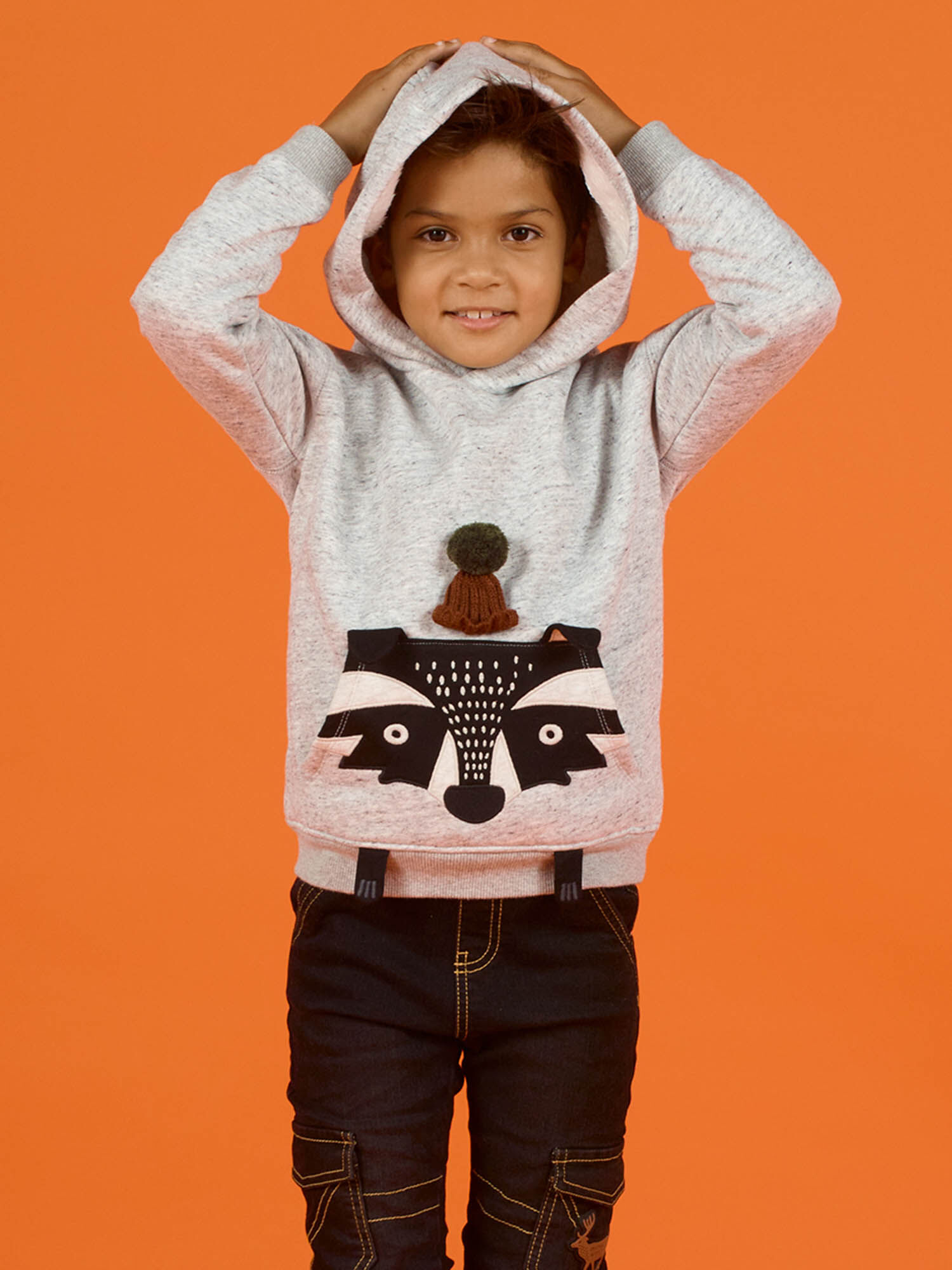 Baby boy grey animal print hoodie buy online Knitwear Sweater