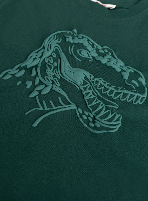 Pine green animation dino t-shirt for boys  VOJOTI1 / 24W902I3TMLG633
